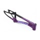 Cadre Stay Strong For Life V5 2025 - Purple / Black